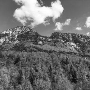 Muséocom s’exporte #38 Romane Gauthier au Parc Naturel Régional du Massif des Bauges Muséocom s’exporte #38 Romane Gauthier au Parc Naturel Régional du Massif des Bauges